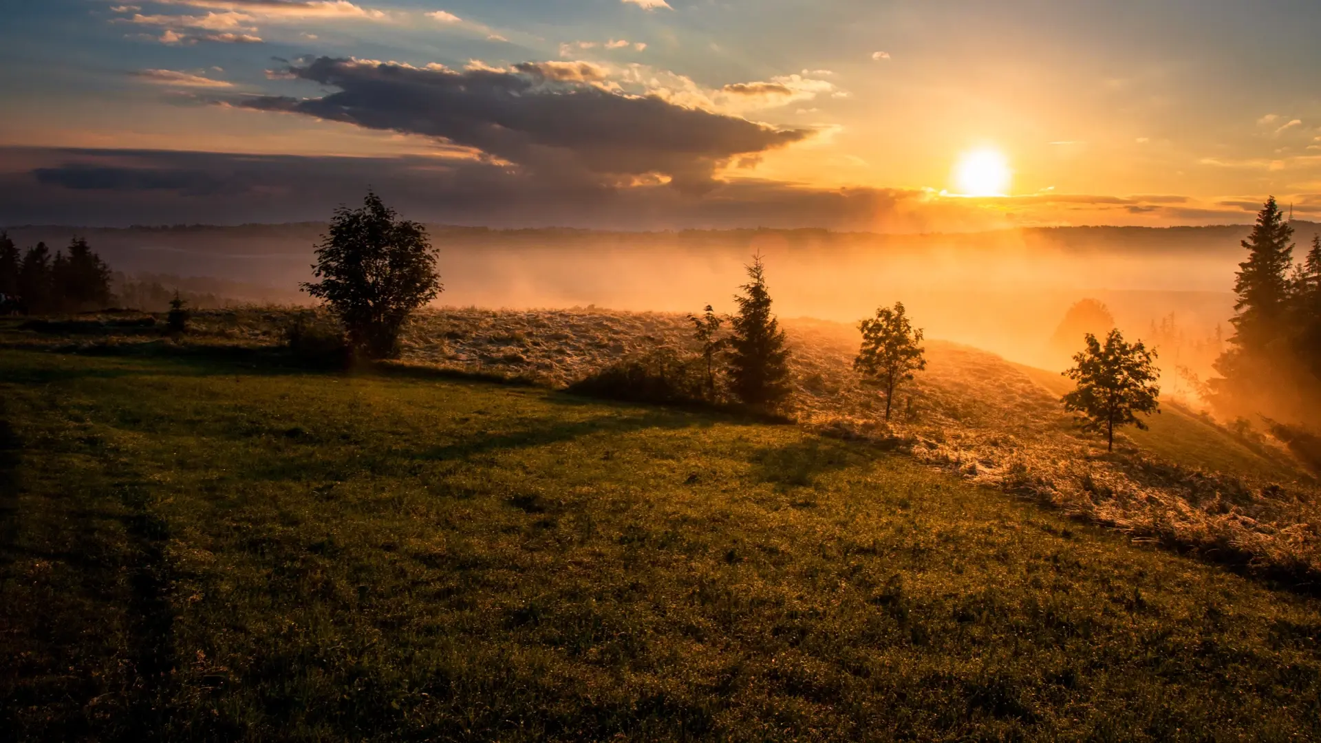 Sunset over the field